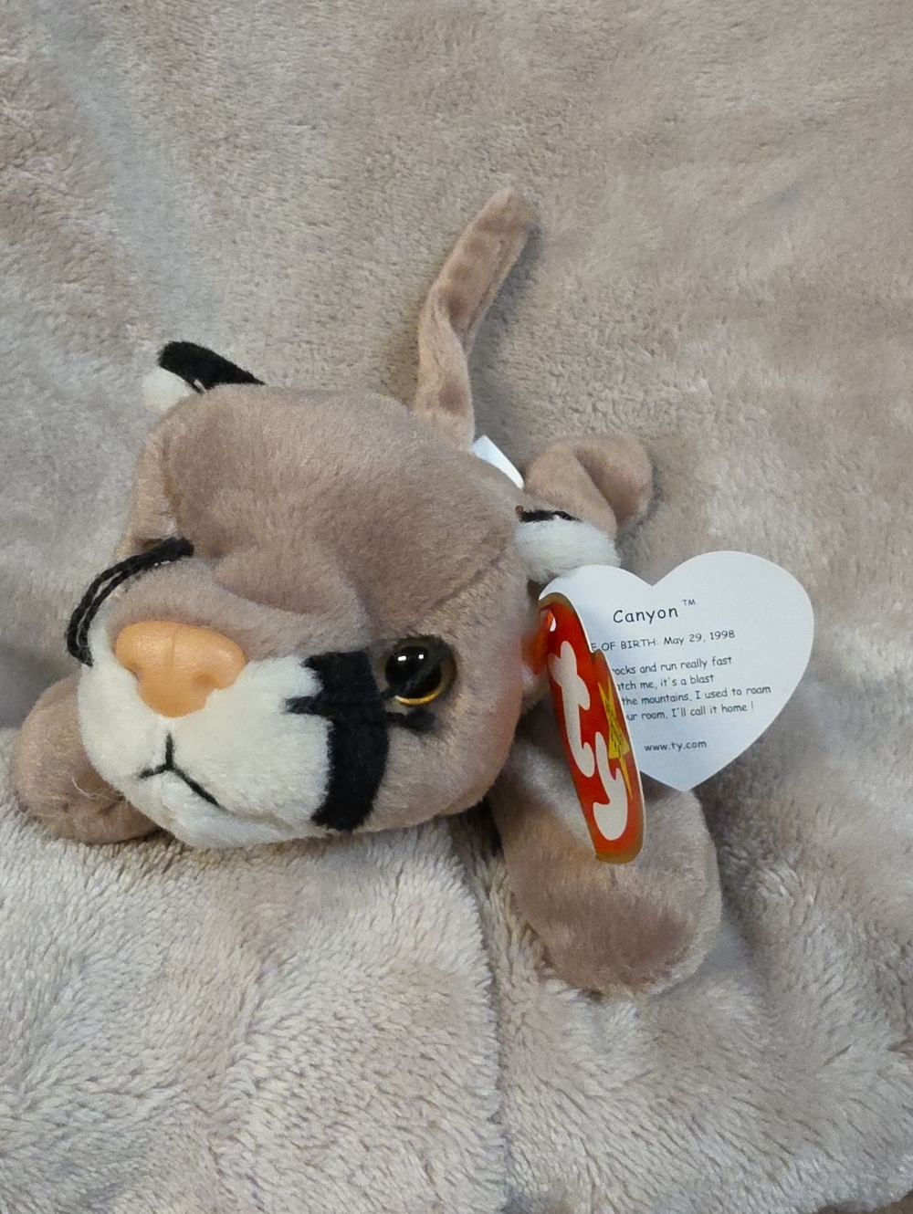 Ty Tan and Black Canyon Beanie Plush Small Pet